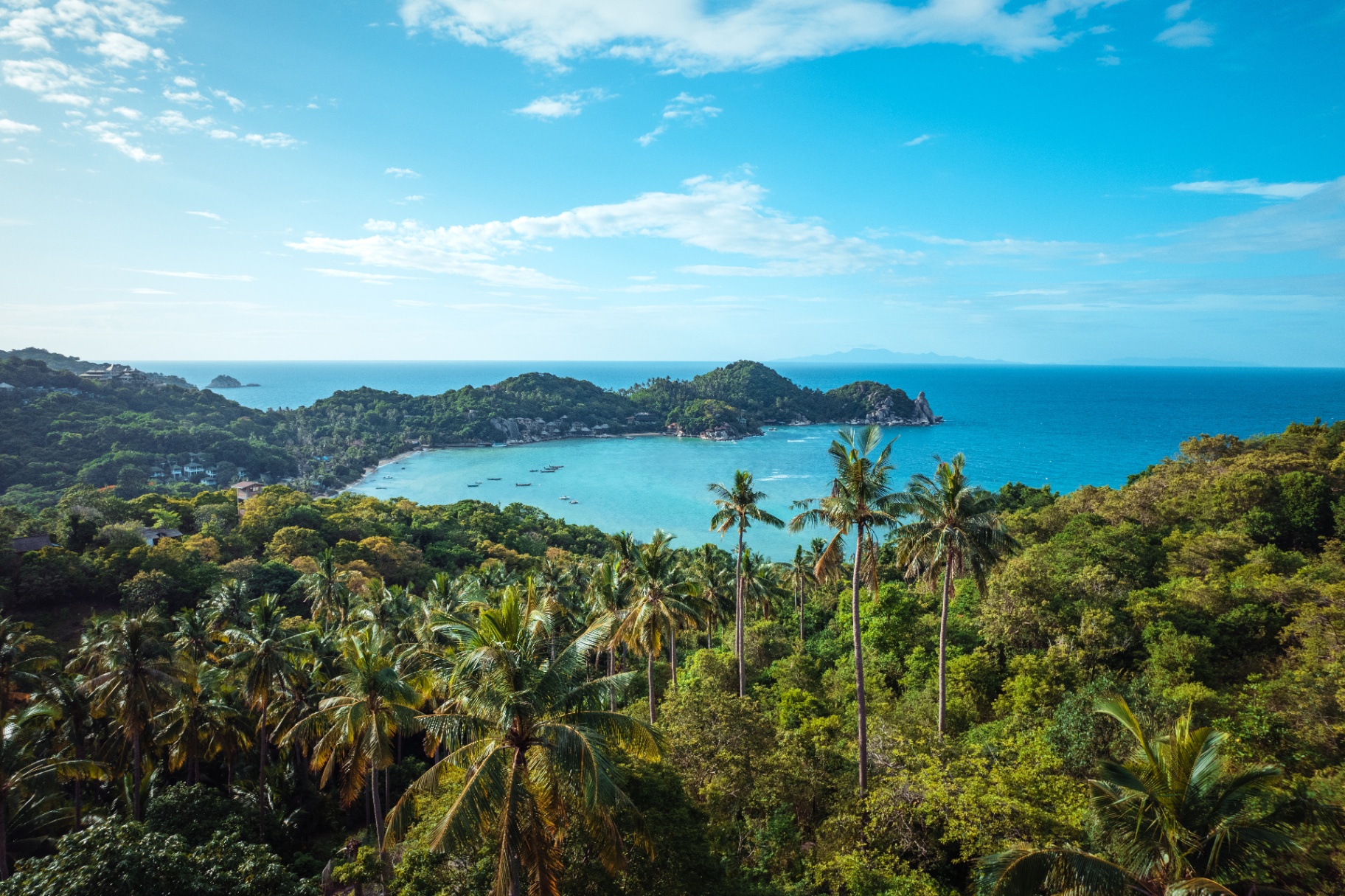 Aerial view of a turquoise bay framed by coconut palms and rainforest